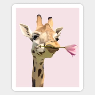 Cute Giraffe with Pink Tulip in its Mouth Magnet